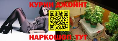 крисы Ставрополь