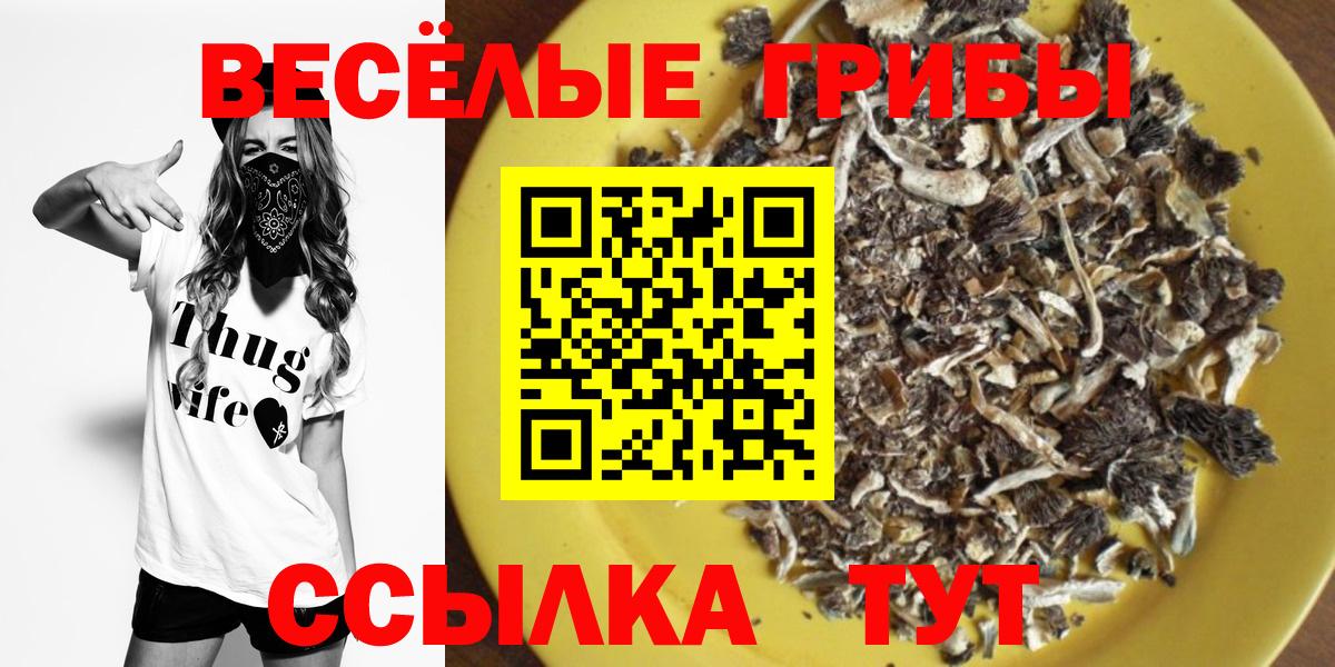 Галлюциногенные грибы Magic Shrooms Моздок